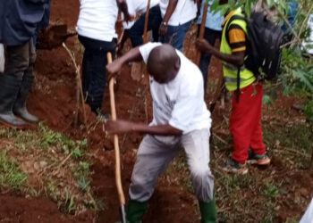 La protection de l’environnement, un devoir de tout citoyen