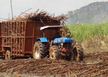 La suspension de la production à la SOSUMO au cœur du débat à la chambre basse du parlement