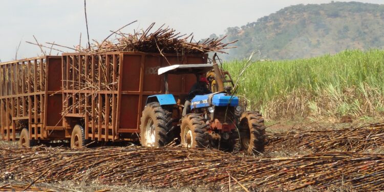 La suspension de la production à la SOSUMO au cœur du débat à la chambre basse du parlement
