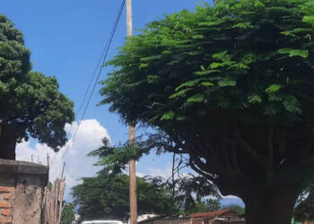 Ngagara: Le raccordement à l’électricité « sent la corruption »