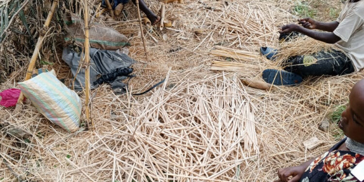 La fabrication des baguettes en bambou, un « petit métier » qui fait vivre les familles