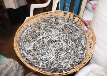 Bujumbura: Montée en flèche du prix du Ndagala sec