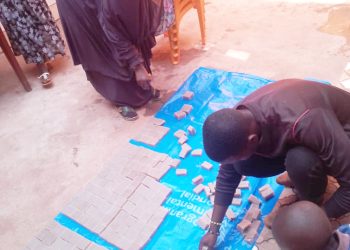 Une idée innovatrice pour pallier le manque de devises