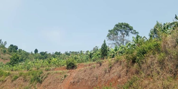 Manque de fertilisants en commune Vumbi