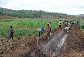 Nyanza Lac : Des résidents des collines Buheka et Mwubure crient au secours