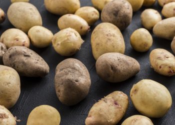 Commune Bisoro : Le manque des semences inquiète