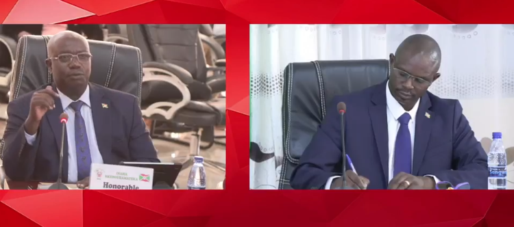 Burundi :Abigenga bofasha mu bushakashatsi bw’imbuto