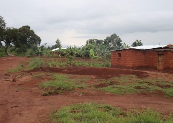 Matongo: Imiryango y’abatwa irasaba ibisakazo vy’inzu