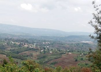 Burundi : L’extension des terres cultivables menace l’environnement