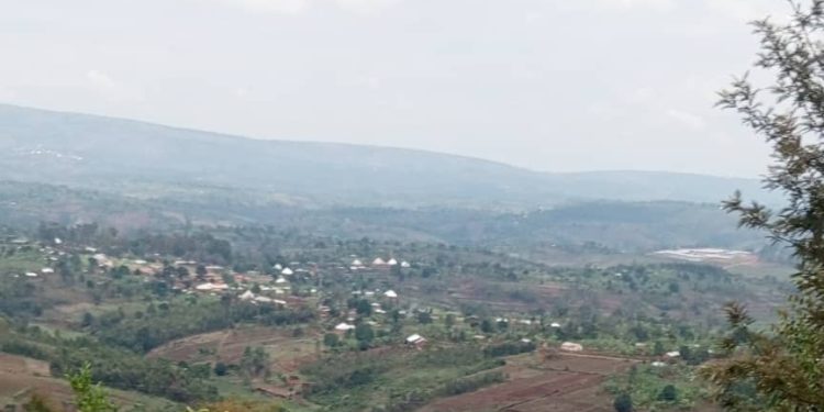 Burundi : L’extension des terres cultivables menace l’environnement