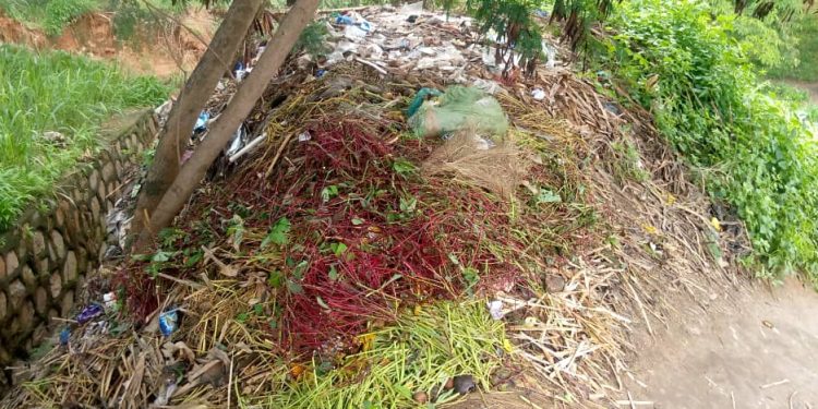 Bujumbura:Iyarara ritabwa ku nkengera z’uruzi Ntahangwa rirateye impungenge abahegereye