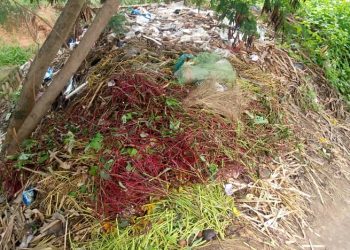 Bujumbura : L’insalubrité inquiète les résidents riverains de la rivière Ntahangwa