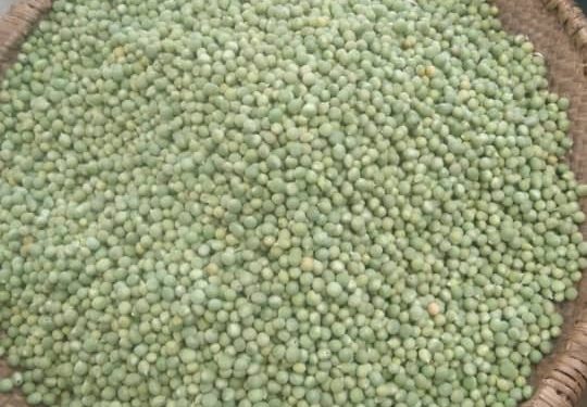 Kayanza:Igiciro c’ikiro c’ubwishaza gishishikara kuduga