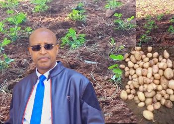 Rutana:Imirima y’umu diaspora yarasahuwe iyindi ironeshwa