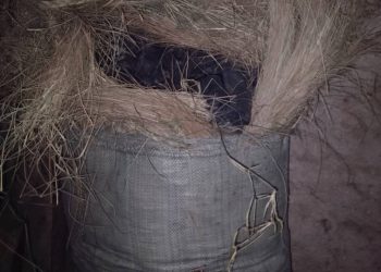 Bujumbura: Hari abaronka utwo bafungura bakabura ukwo baduteka