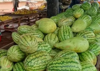 Urudandazwa rw’ivyamwa ruracumbagira kw’isoko nkuru ya Cibitoke