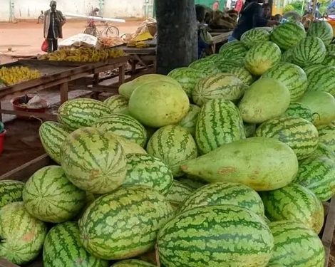 Urudandazwa rw’ivyamwa ruracumbagira kw’isoko nkuru ya Cibitoke