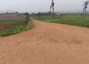 Attribution des parcelles à Nkenga-Busoro : Des promesses non tenues