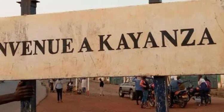 Kayanza : Abarimyi baridoga ko bataronswa agahembo kabo
