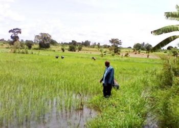 Rumonge: Baridoga k’uruhombo bamaze igihe bagira 