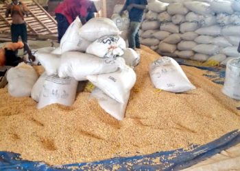 Agriculteurs exigent une révision des prix et une meilleure gestion de la récolte