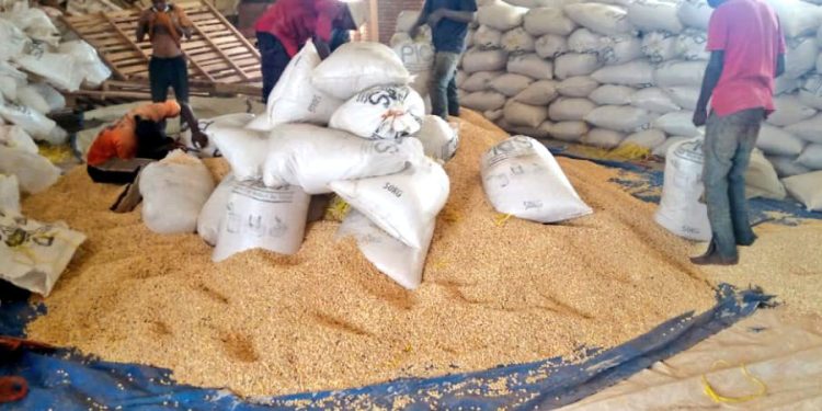 Agriculteurs exigent une révision des prix et une meilleure gestion de la récolte