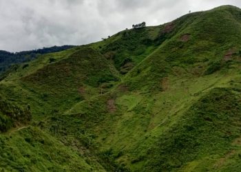 Les habitants de Mabayi unis pour la préservation de la Kibira