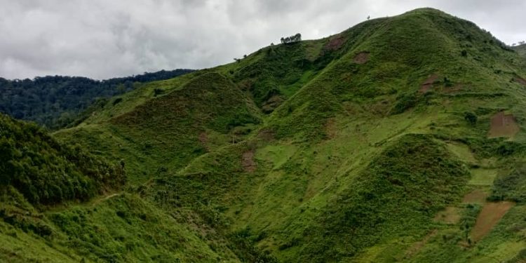 Les habitants de Mabayi unis pour la préservation de la Kibira