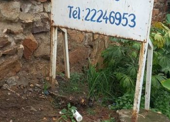 Retrait des cartes d’électeurs au Burundi : Lancement et problèmes dans certains bureaux