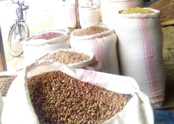 Gitega : Soulagement sur les marchés, désespoir dans les champs