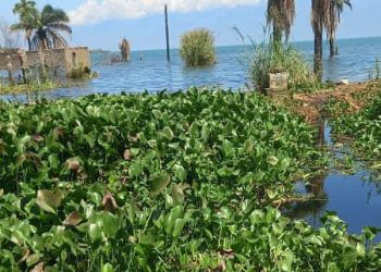 Lac Tanganyika : entre richesse naturelle et pollution croissante