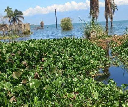 Lac Tanganyika : entre richesse naturelle et pollution croissante