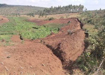 « On arrose avec des casseroles » : la galère des agriculteurs de Gitega