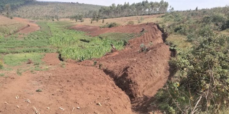 « On arrose avec des casseroles » : la galère des agriculteurs de Gitega