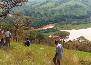 Parc national de la Ruvubu : biodiversité riche, infrastructures pauvres