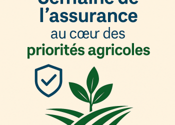 Le Burundi mise sur l’assurance agricole pour sécuriser sa production vivrière