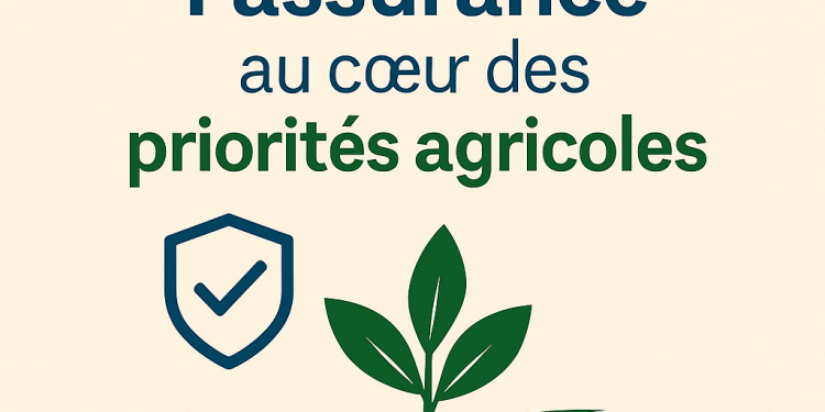 Le Burundi mise sur l’assurance agricole pour sécuriser sa production vivrière