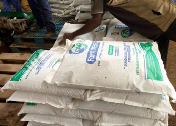 Bubanza : l’engrais arrive, la colère reste