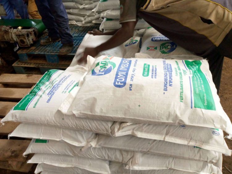 Bubanza : l’engrais arrive, la colère reste