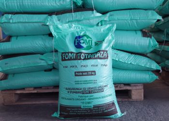 Buhumuza : les producteurs alertent sur la pénurie critique de Totahaza