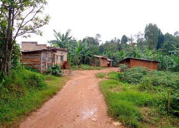 Vague de vols à Buhiga : la population en colère