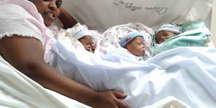 Trois cris de victoire après sept ans d’épreuves