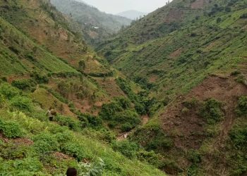 Wari uzi ko Washington isigaye iri mu Kanyosha?