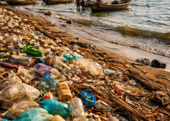 Lac Tanganyika : la pollution plastique menace un écosystème vital