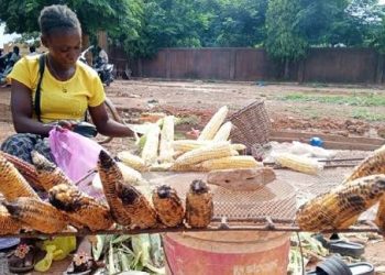 Ni gute aka kazi ko kwotsa ibigori ku mabarabara kabeshejeho abatari bake mu bakenyezi  batunze imiryango i Bujumbura ?