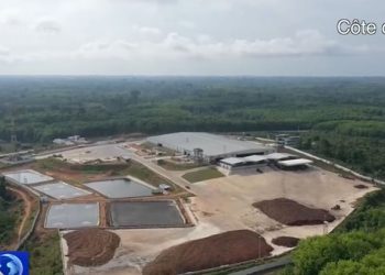 Le caoutchouc ivoirien à l’heure de la transformation industrielle et du partenariat sino-africain