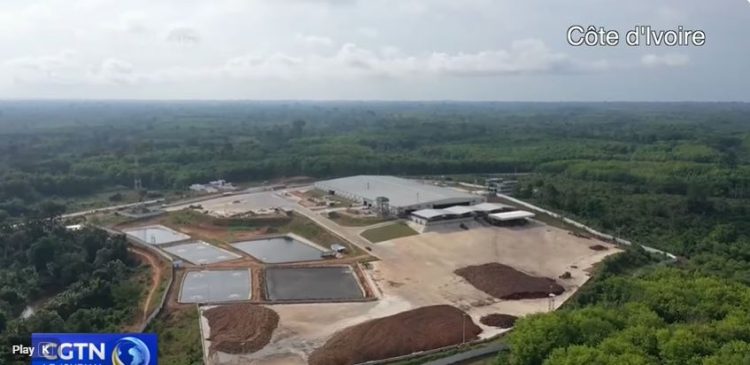 Le caoutchouc ivoirien à l’heure de la transformation industrielle et du partenariat sino-africain