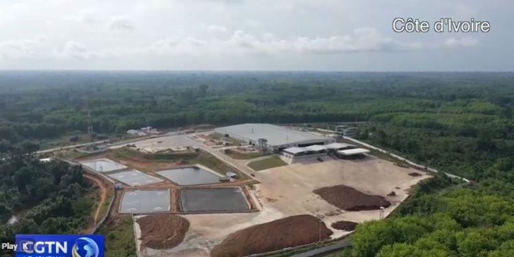 Le caoutchouc ivoirien à l’heure de la transformation industrielle et du partenariat sino-africain