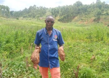 Matongo : une technique agricole innovante pour produire plus sur de petites surfaces