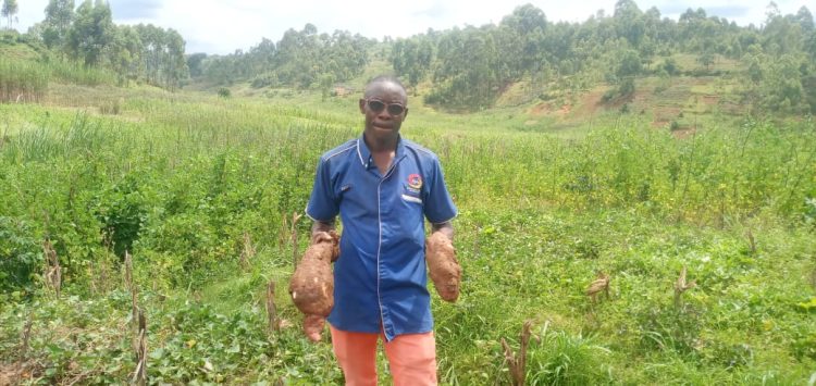 Matongo : une technique agricole innovante pour produire plus sur de petites surfaces